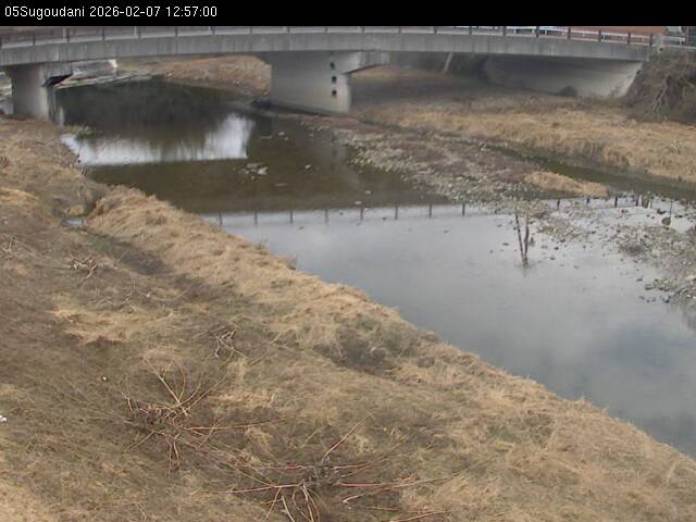 最新監視カメラ画像