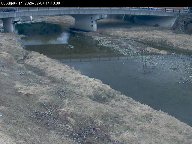 最新監視カメラ画像