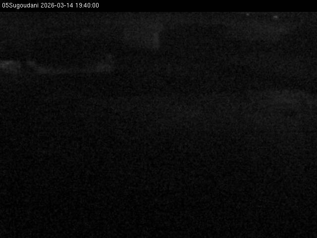 最新監視カメラ画像