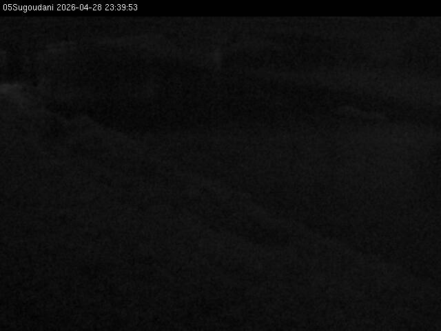 最新監視カメラ画像