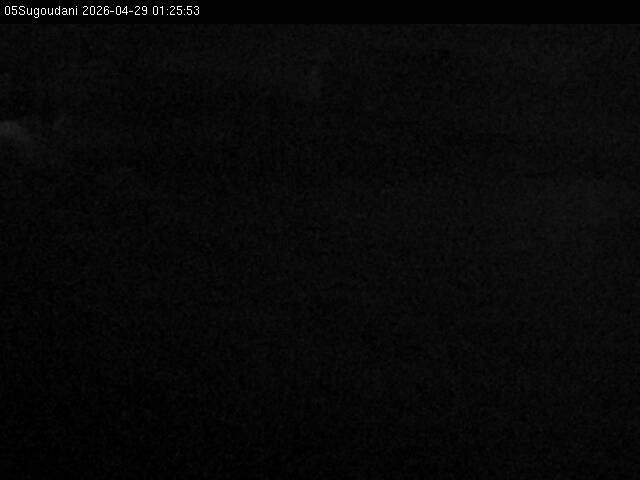 最新監視カメラ画像