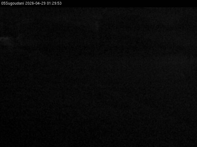 最新監視カメラ画像