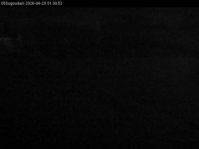 最新監視カメラ画像