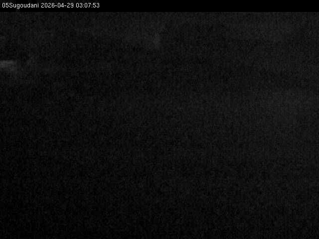 最新監視カメラ画像