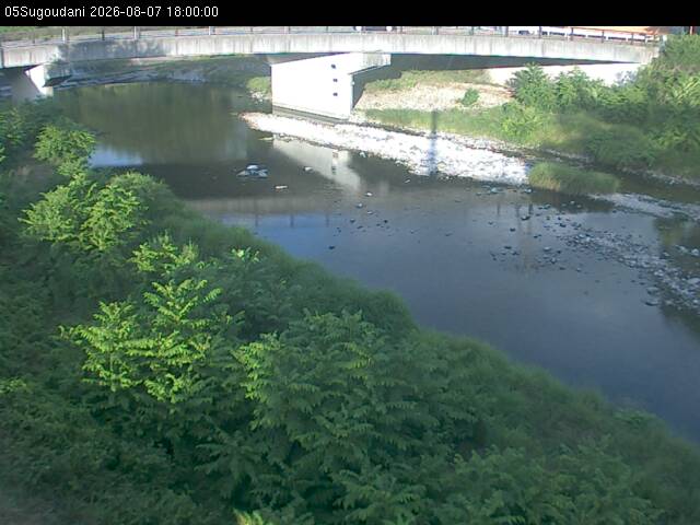 最新監視カメラ画像