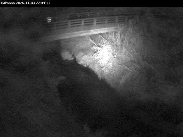 最新監視カメラ画像