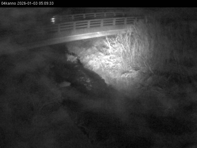 最新監視カメラ画像