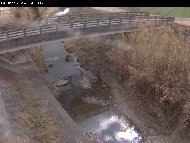 最新監視カメラ画像