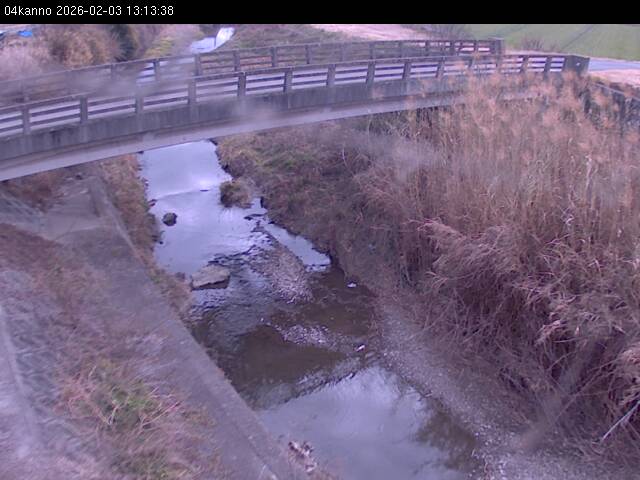 最新監視カメラ画像