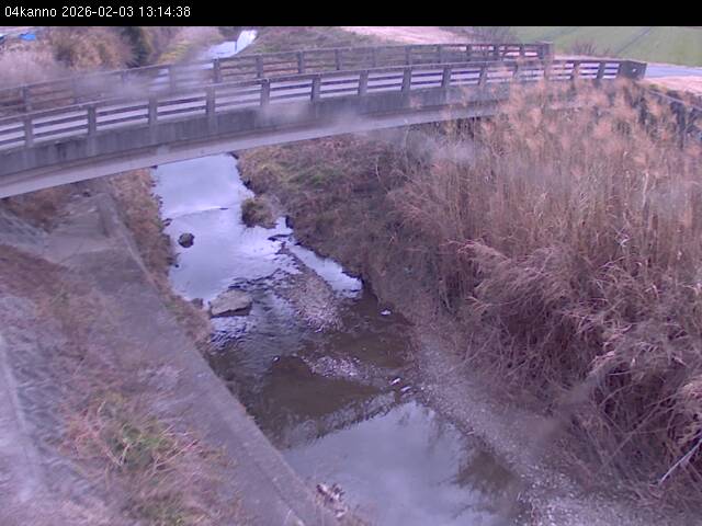 最新監視カメラ画像