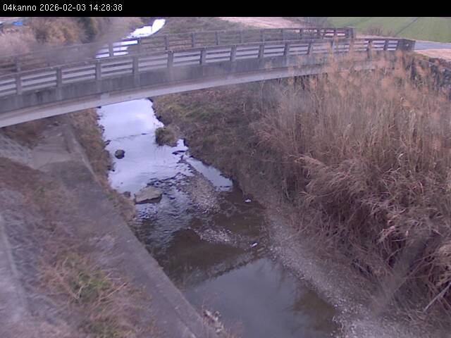 最新監視カメラ画像