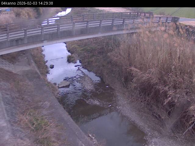 最新監視カメラ画像