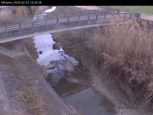 最新監視カメラ画像