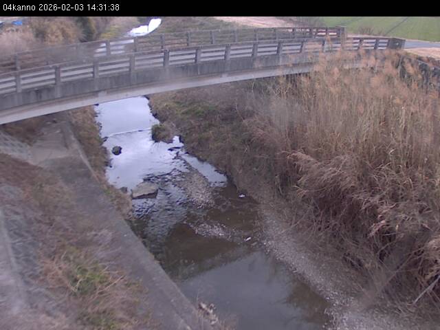 最新監視カメラ画像