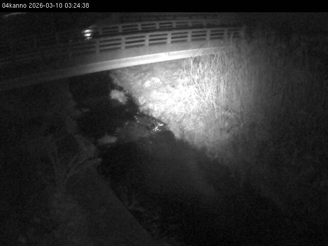 最新監視カメラ画像