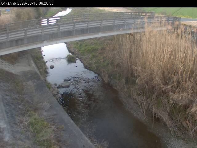 最新監視カメラ画像