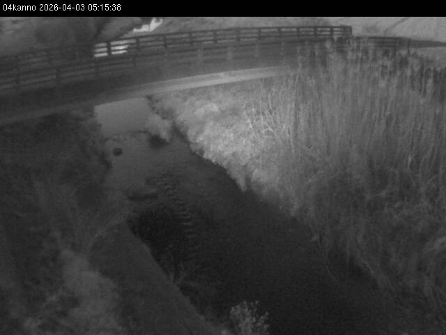 最新監視カメラ画像