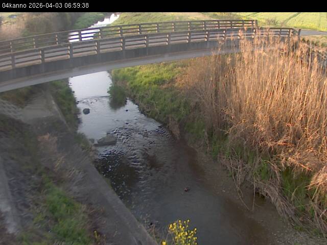 最新監視カメラ画像