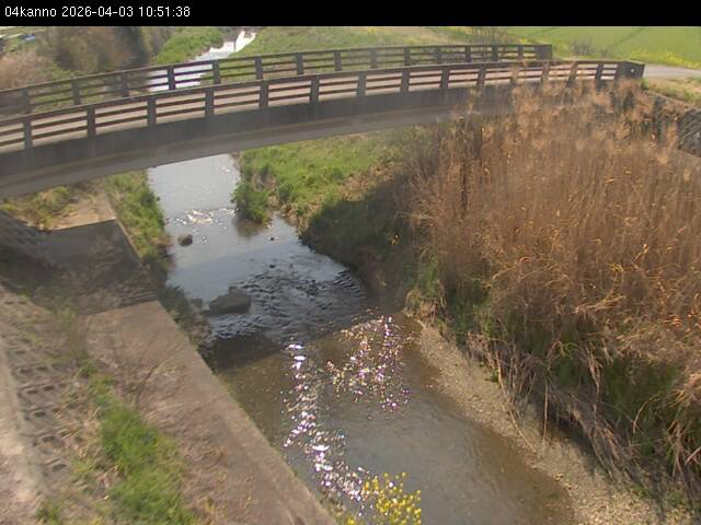 最新監視カメラ画像