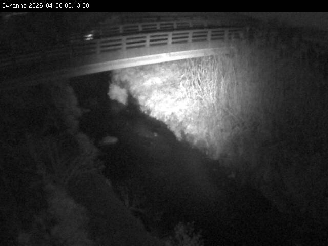 最新監視カメラ画像