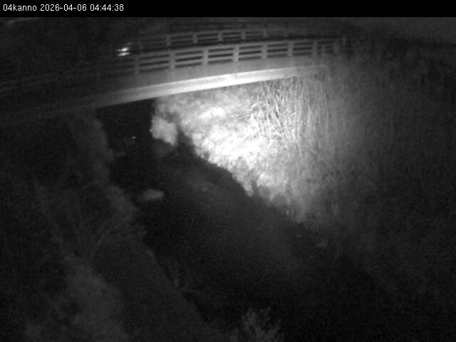 最新監視カメラ画像