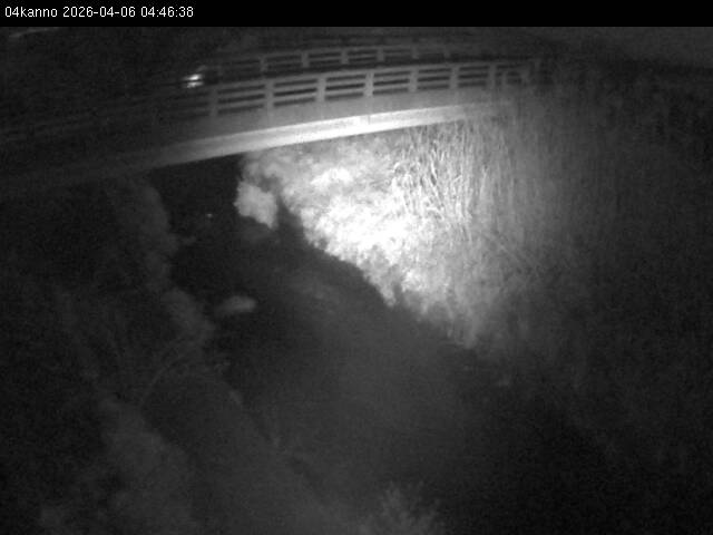 最新監視カメラ画像