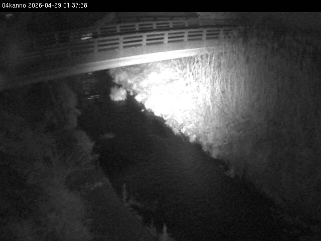 最新監視カメラ画像