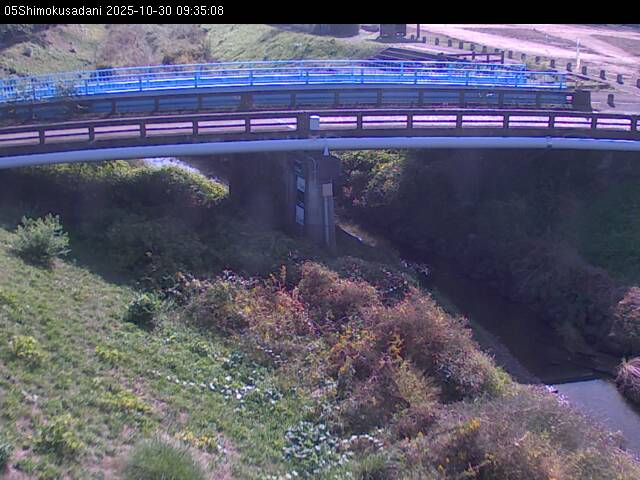 最新監視カメラ画像