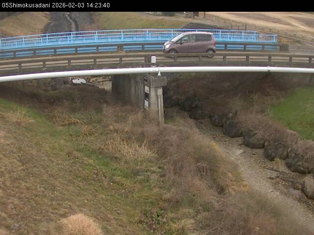 最新監視カメラ画像