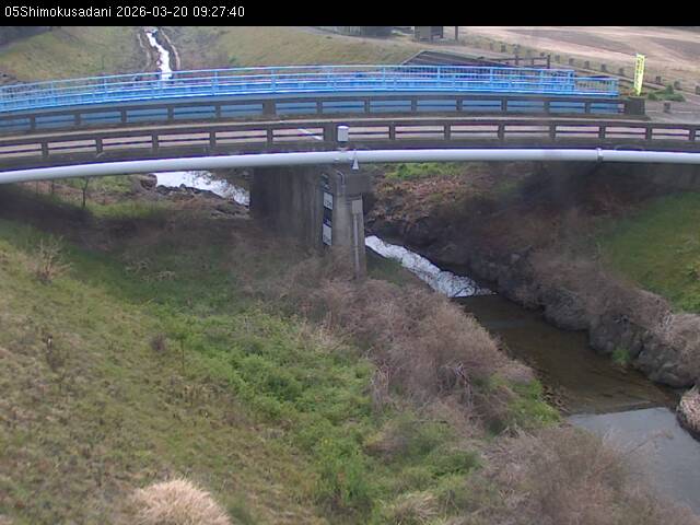 最新監視カメラ画像