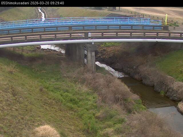 最新監視カメラ画像