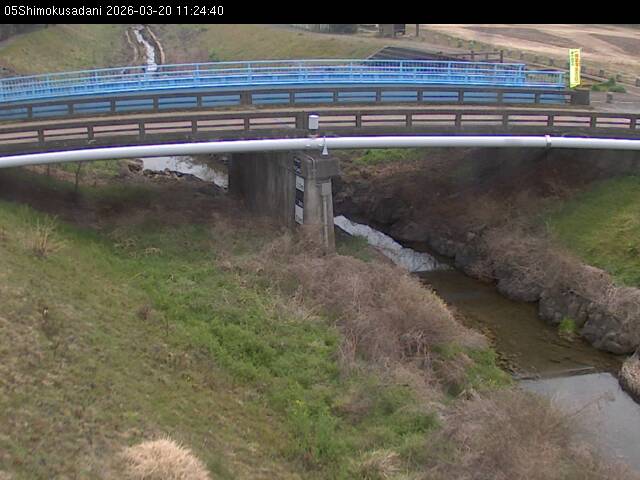 最新監視カメラ画像