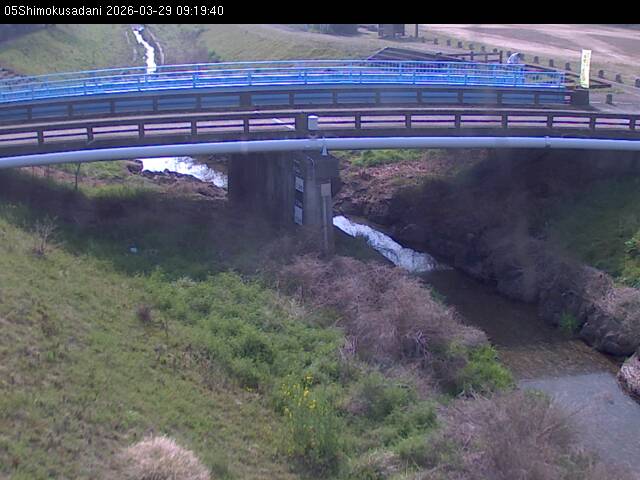 最新監視カメラ画像