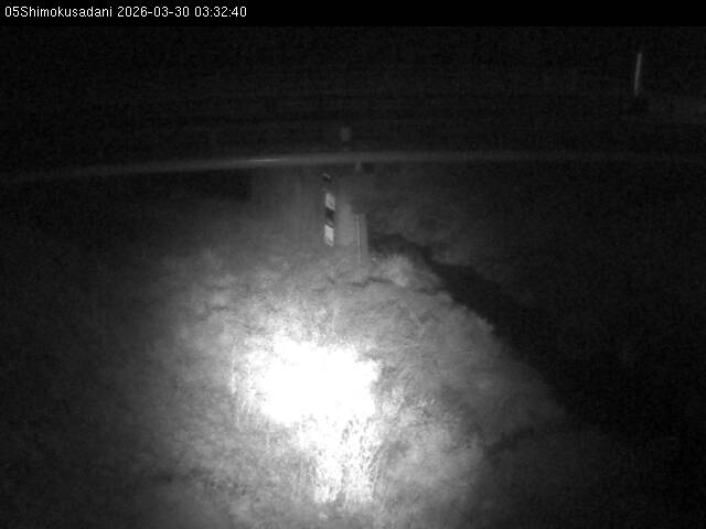 最新監視カメラ画像