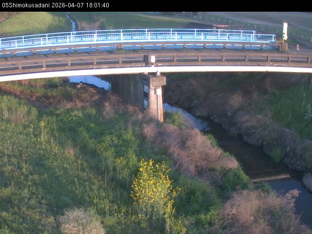 最新監視カメラ画像