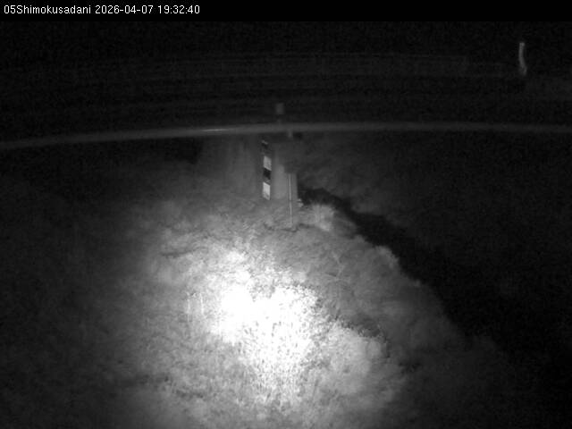 最新監視カメラ画像