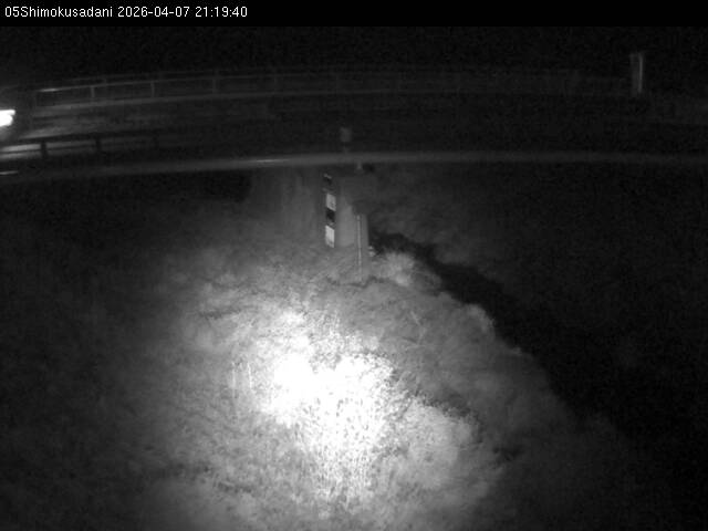 最新監視カメラ画像