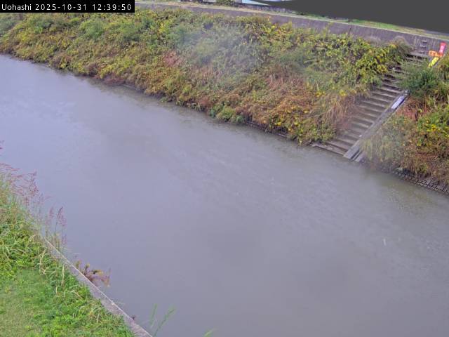 最新監視カメラ画像