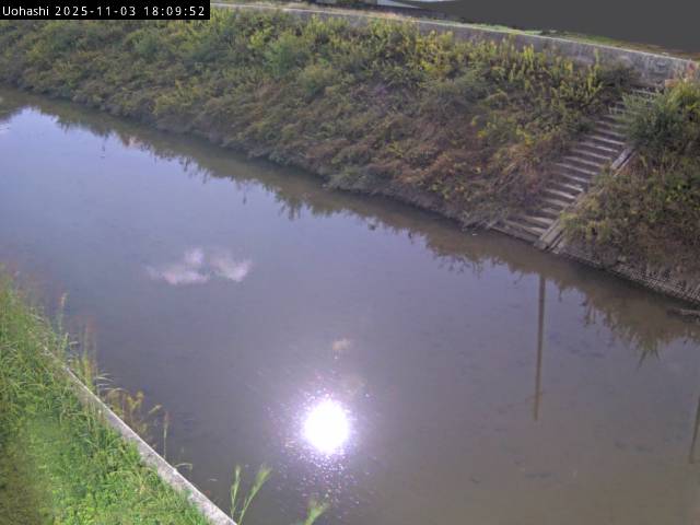 最新監視カメラ画像