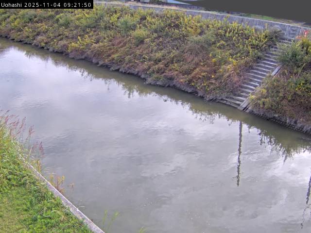 最新監視カメラ画像