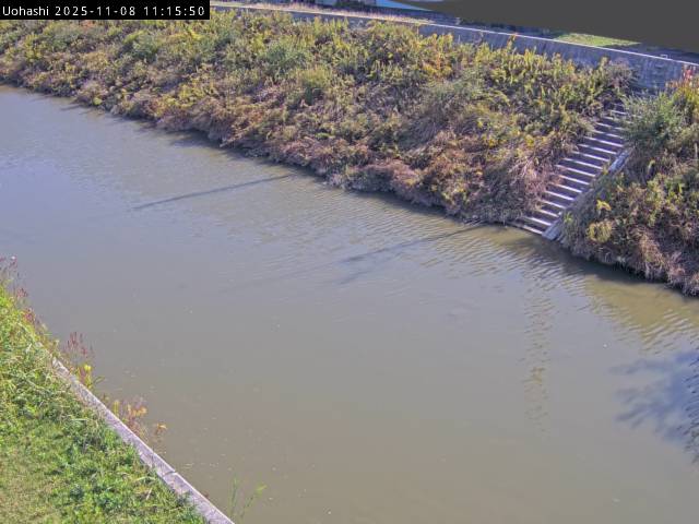 最新監視カメラ画像