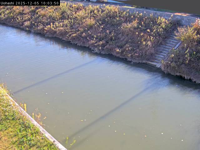 最新監視カメラ画像