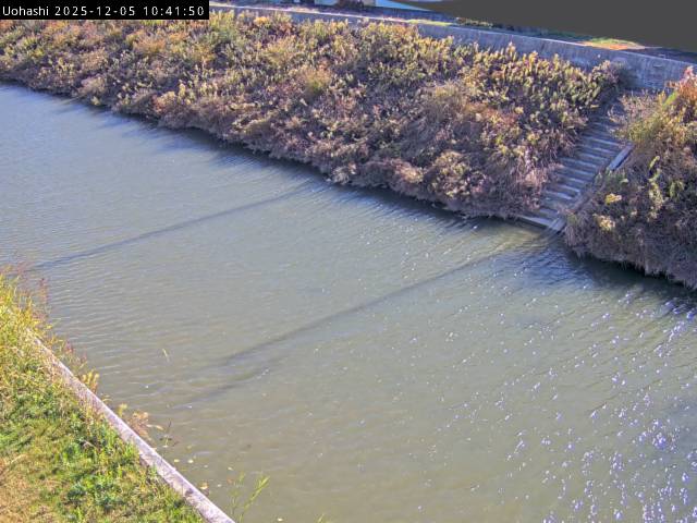 最新監視カメラ画像