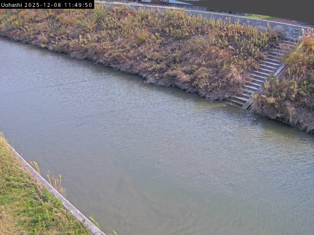 最新監視カメラ画像