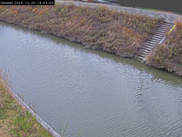 最新監視カメラ画像