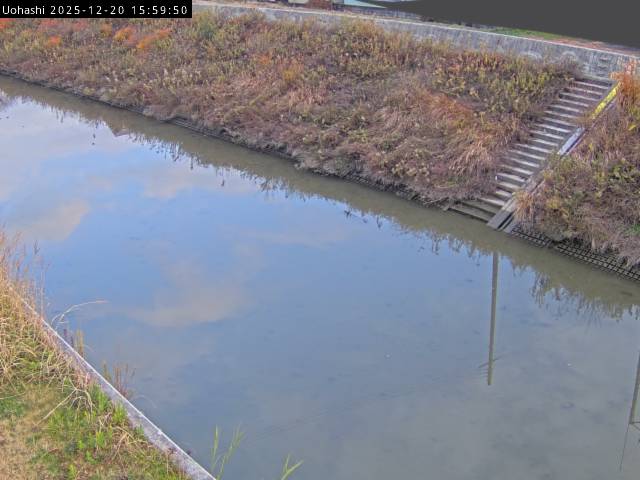 最新監視カメラ画像