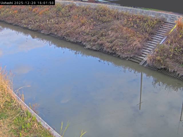 最新監視カメラ画像