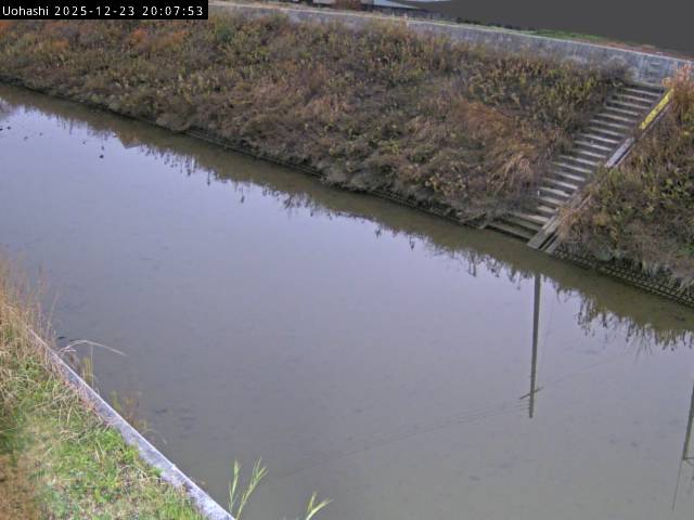 最新監視カメラ画像