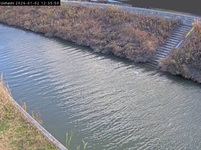 最新監視カメラ画像