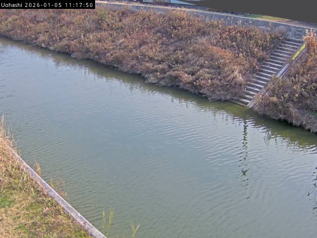 最新監視カメラ画像